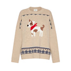 Pavidi Loose Womens Jumper 2625366232600