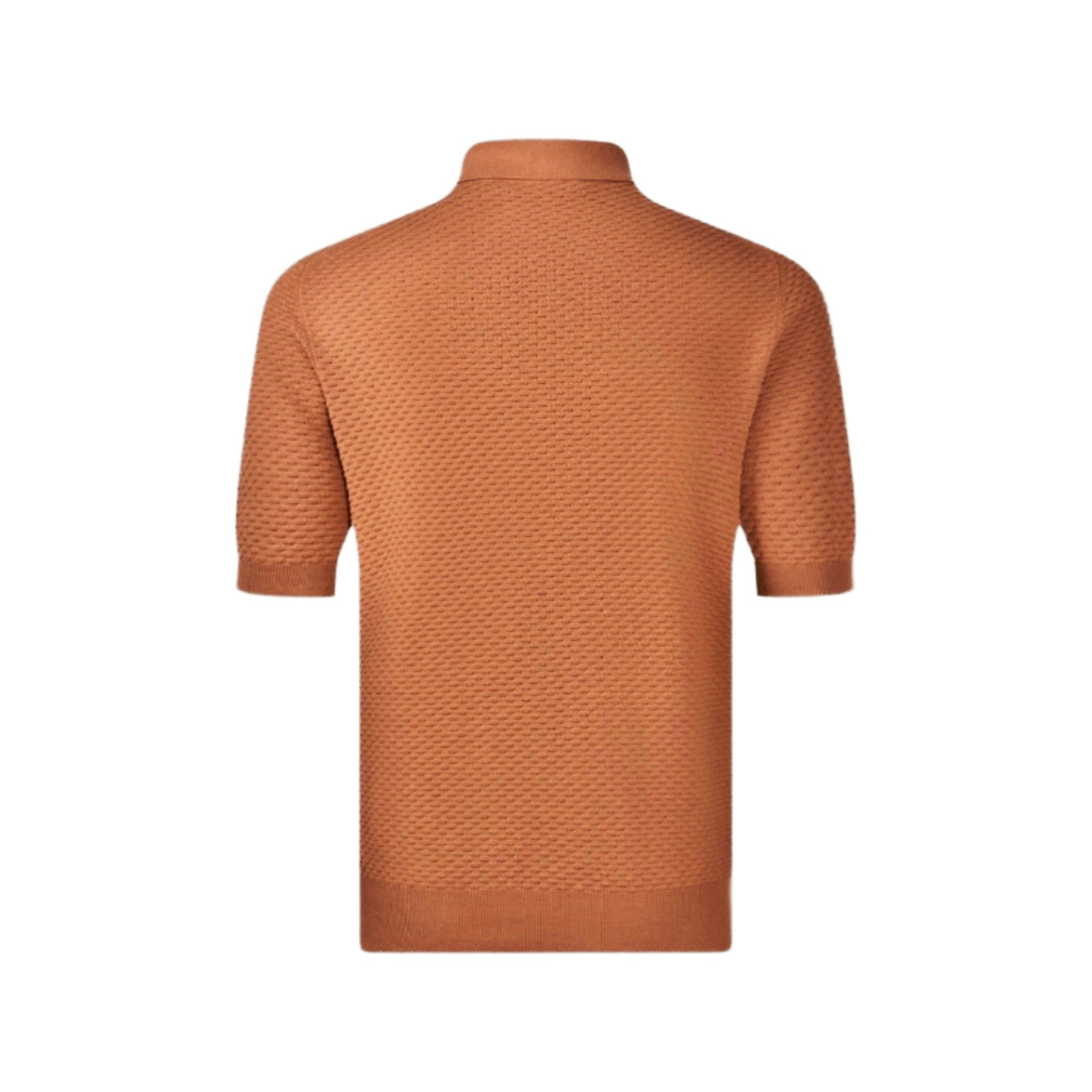 Textured Knitted Mens Polo Shirt 57113/20620