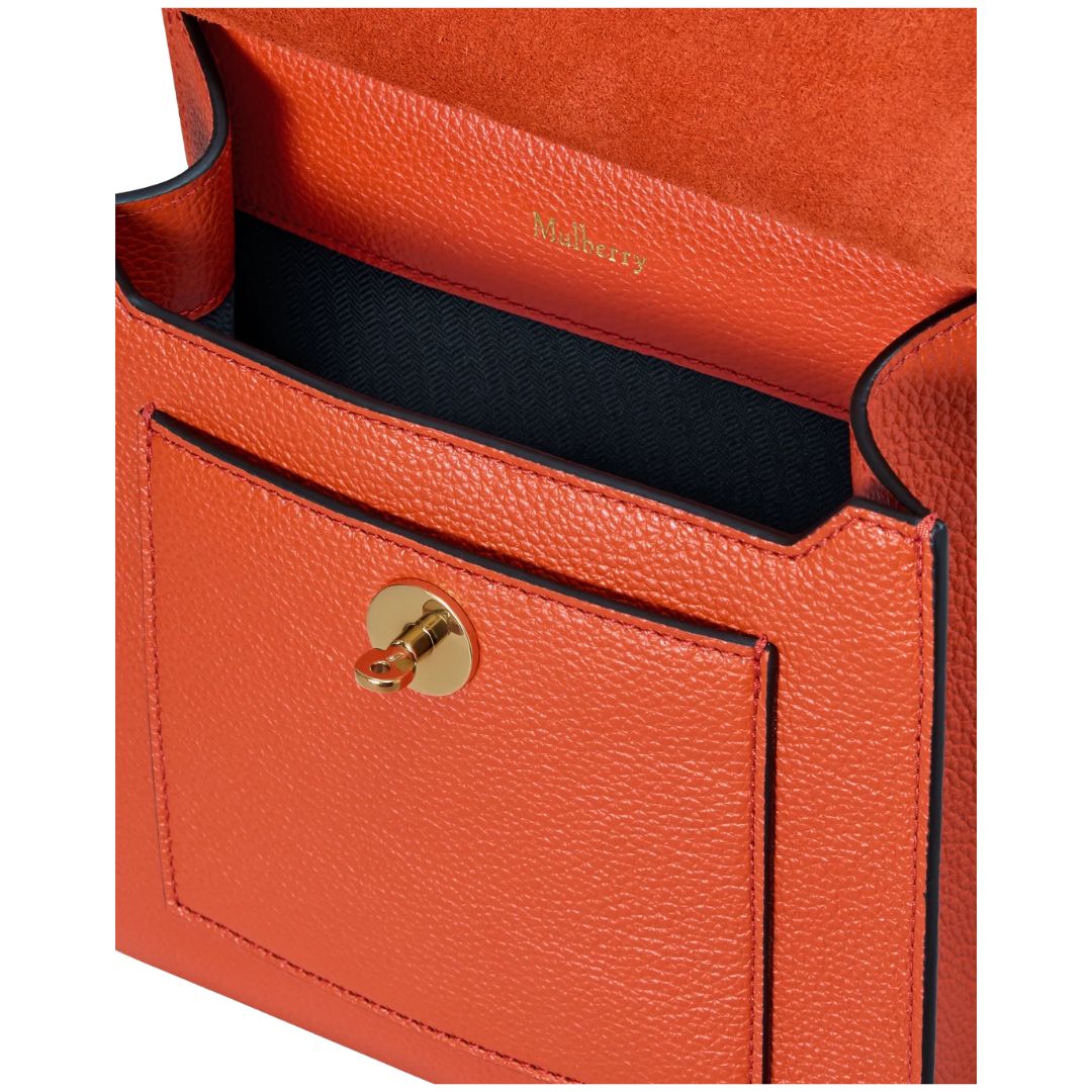 Small Antony N (Leather Strap) SCG Womens Handbag HH9365/205